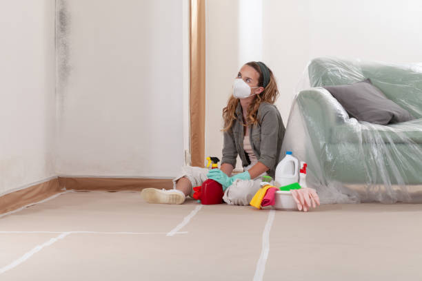 Reliable Mold Cleanup contractor in Goldsboro, MD by WQB Mold Removal